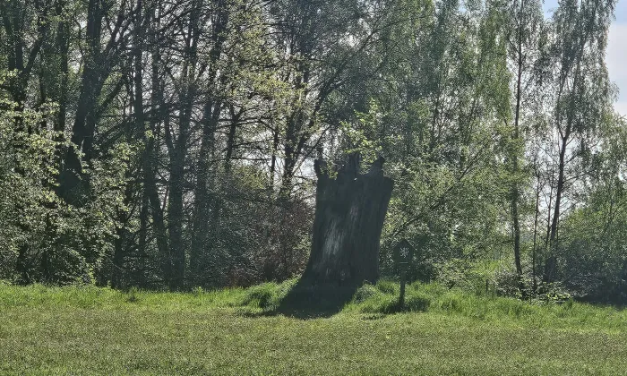 Slavíkovy ostrovy