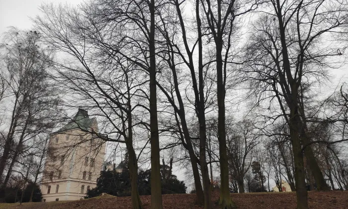 Zámecký park (Studénka)