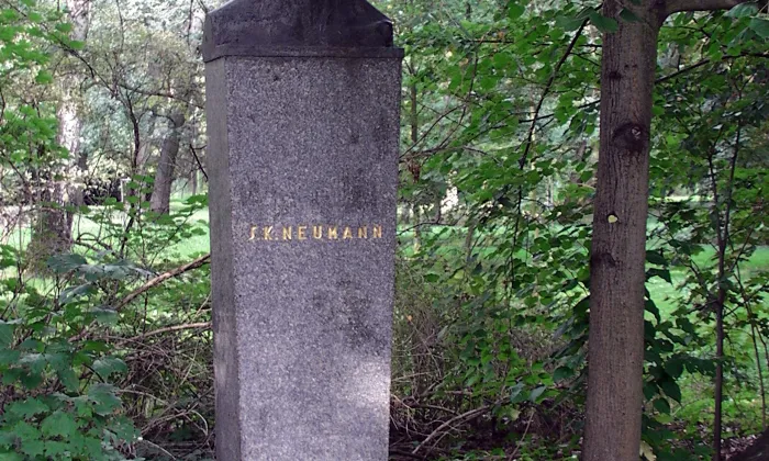 sady S. K. Neumanna