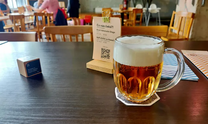 mostek u městských lázní v Hradci Králové