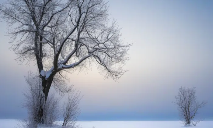 Ďáblický hřbitov – winter