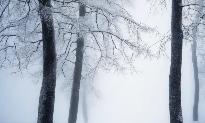Částkov – winter