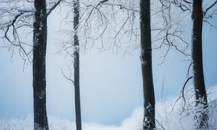 Červená kaplička – winter