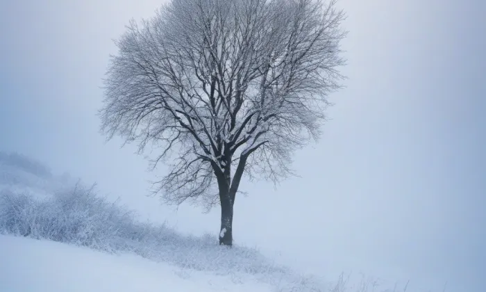 Česká Ves – winter