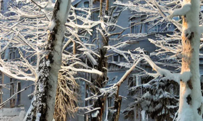 Šibice – winter