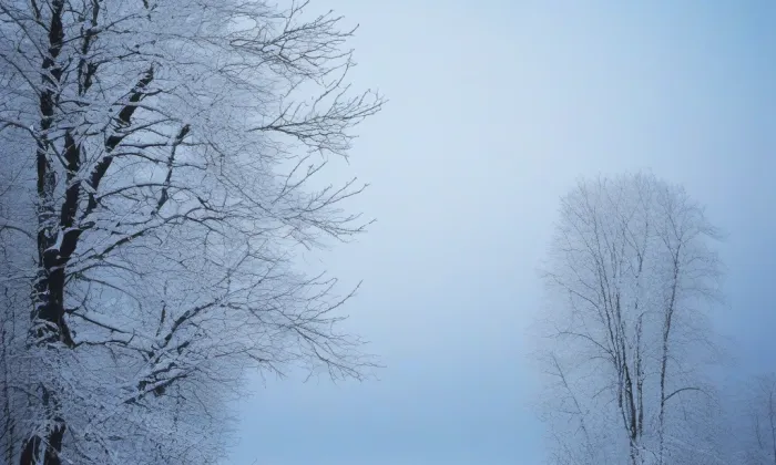 Akademie HUSPOL, s.r.o. – winter