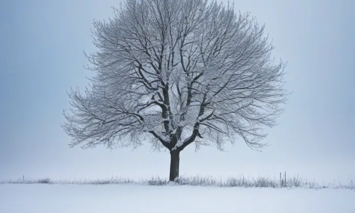 Alžír – winter
