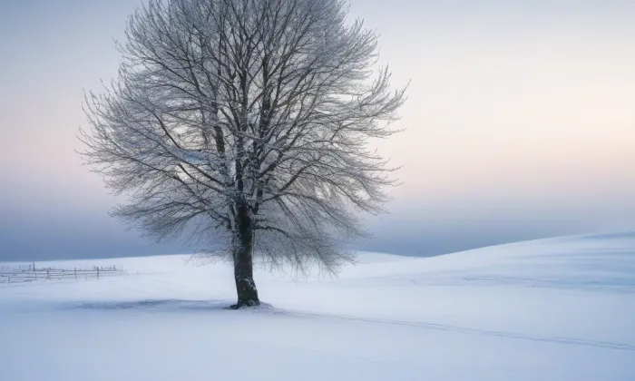 Alegorie světadílů (Lysá nad Labem) – winter