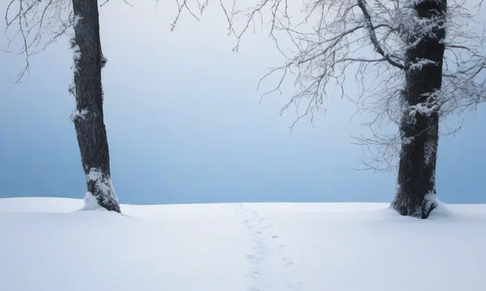 Alej Lindsey Stirling – winter