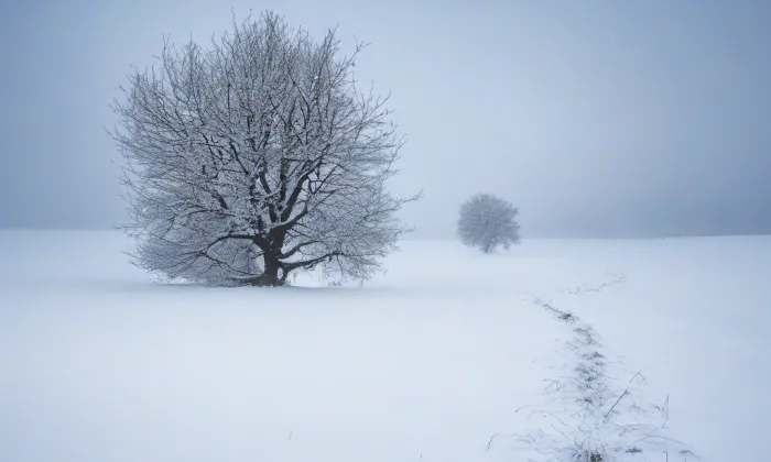 Altamira Kosmonosy – winter