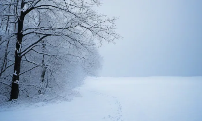 Arboretum ČZU v Kostelci nad Černými lesy – winter