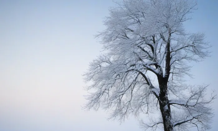 Archiv bezpečnostních složek – winter
