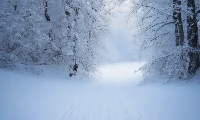 Archiv města Plzně – winter