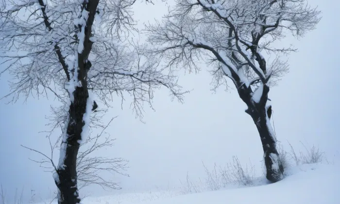 Archiv Poslanecké sněmovny – winter