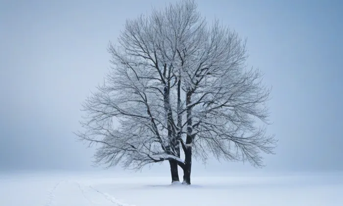 Arcibiskupský zámek Kroměříž – winter