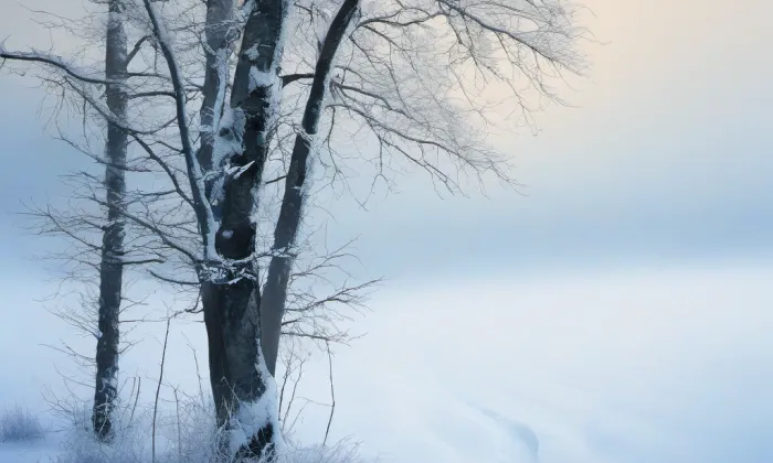 Arcibiskupské zahrady v Kroměříži – winter