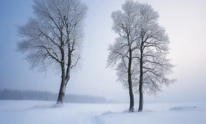 Arthurův hrad – winter
