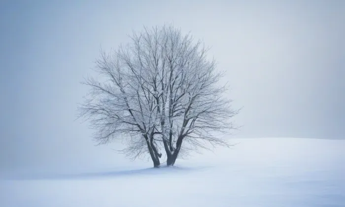 Ateliér Josefa Sudka – winter
