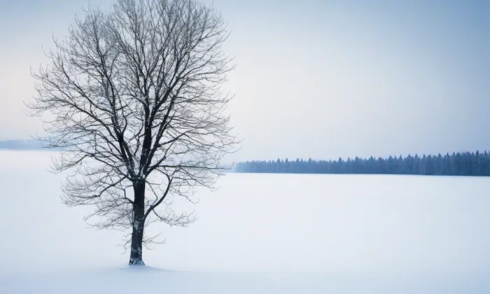 augustiniánský klášter u kostela svatého Tomáše – winter