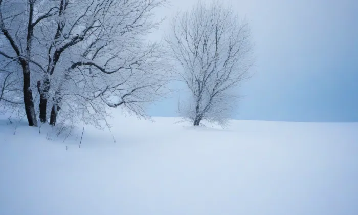 Autoklub ČR – winter