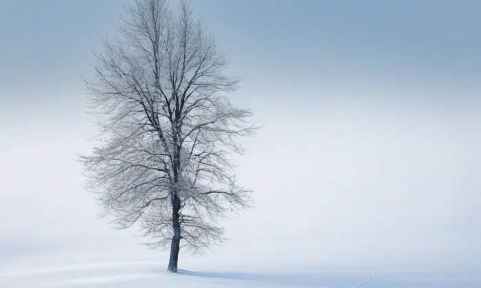 Býčí skála – winter