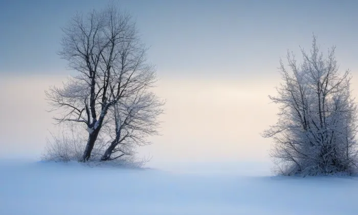 Bílá věž – winter