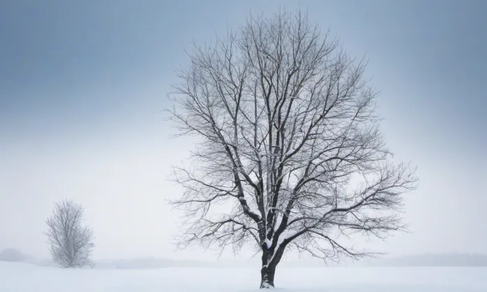 bývalý kostel sv. Maří Magdalény Vlastějovice – winter