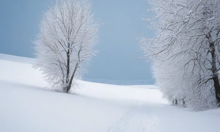 Barbořin kamenný most – winter