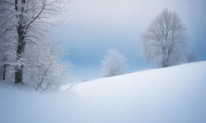 barokní opevnění Hradce Králové – winter