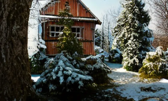 Bartelmusova vila – winter