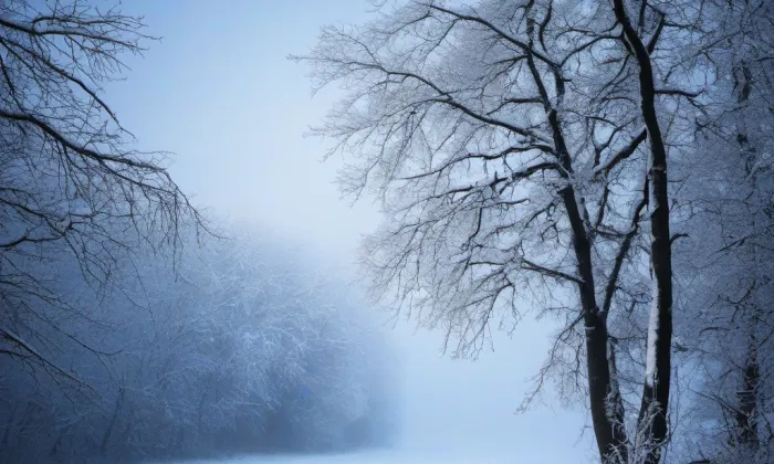Benešova škola – winter