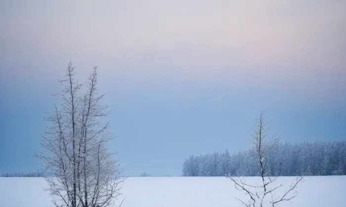 Besední dům – winter