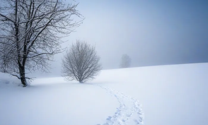 Bezděz – winter