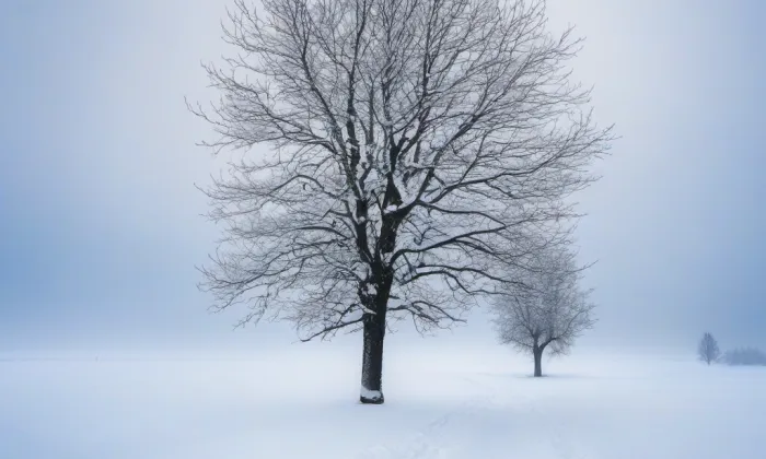 Bezemín – winter