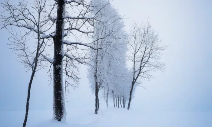Biskupská zahrada – winter