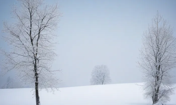 Blatná – winter