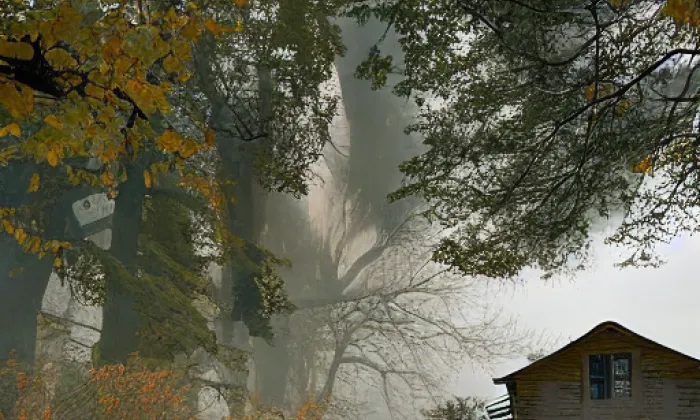 Boží muka severně od Častrova – autumn