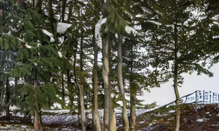 Boží muka severně od Častrova – winter