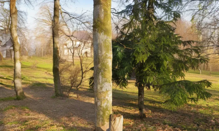 Boží muka v Horním Studenci – summer