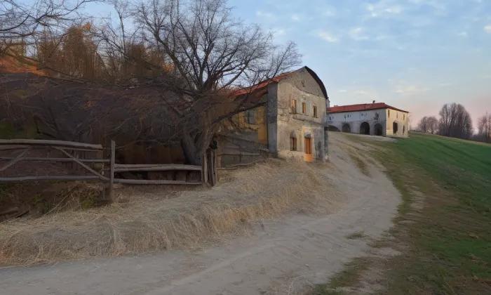 Bodláková – summer