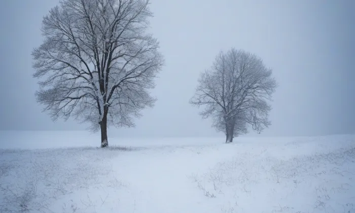 Bouzov – winter