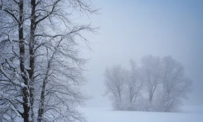 Brána do vsi – winter