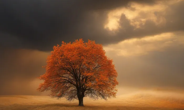 brána Matky Boží v Jihlavě – autumn