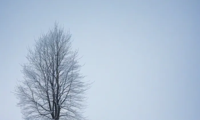 Bredovský letohrádek – winter