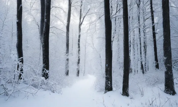 Bretfeldovský palác – winter