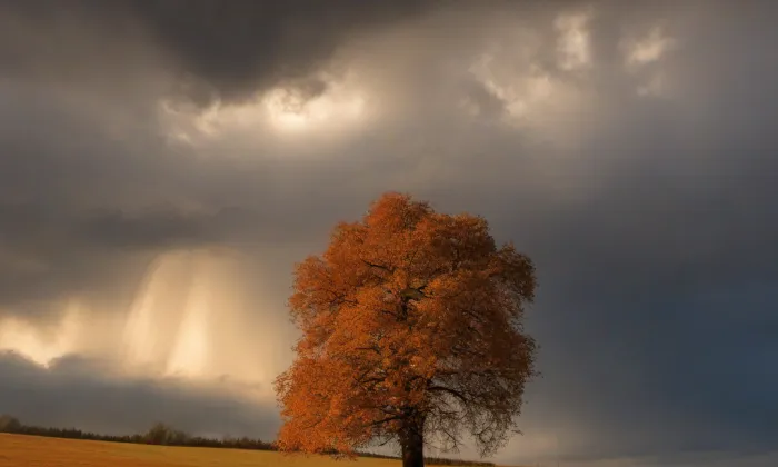 Brněnská káznice – autumn