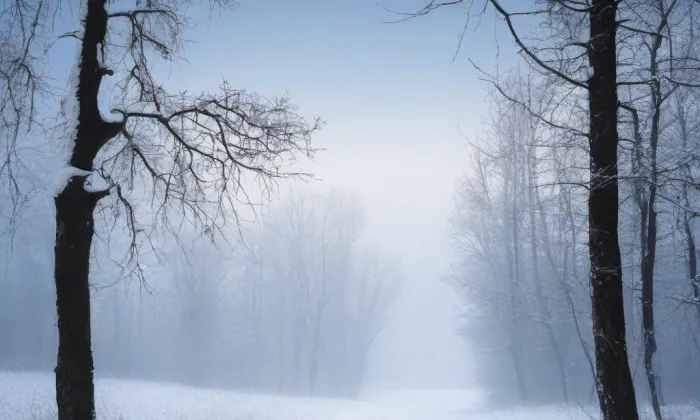 Budova Všeobecné fakultní nemocnice v Praze – winter