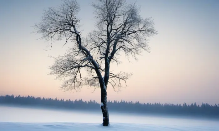 Budova Vojenského zeměpisného ústavu – winter