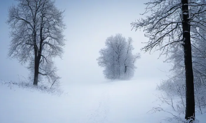 Církvice – winter