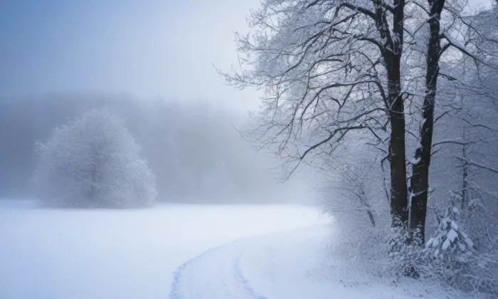 Centrální park Severní Terasa – winter